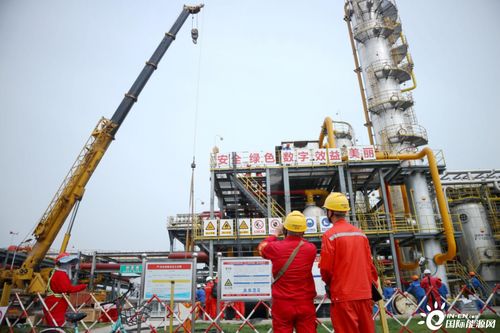 国内最大的天然气净化厂开始大修