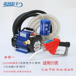 电动抽油泵12v24v220v汽油柴油加油泵车载防爆输油泵手提式抽油机