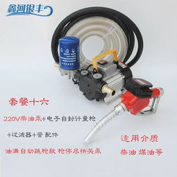 电动抽油泵12v24v220v汽油柴油加油泵车载防爆输油泵手提式抽油机,一品好特惠